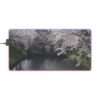 LED Gaming Mouse Pad