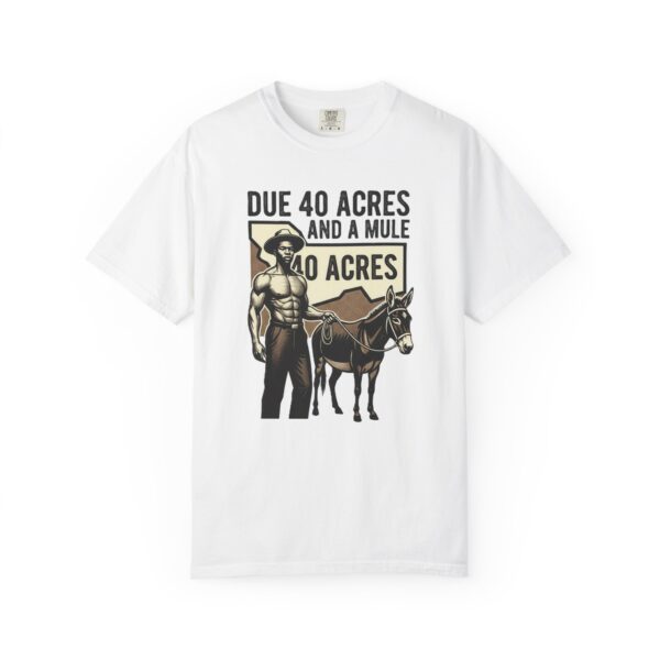 12992449713131052259_2048.jpeg Due 40 Acres and a Mule T-Shirt | Juneteenth Emancipation Graphic Tee