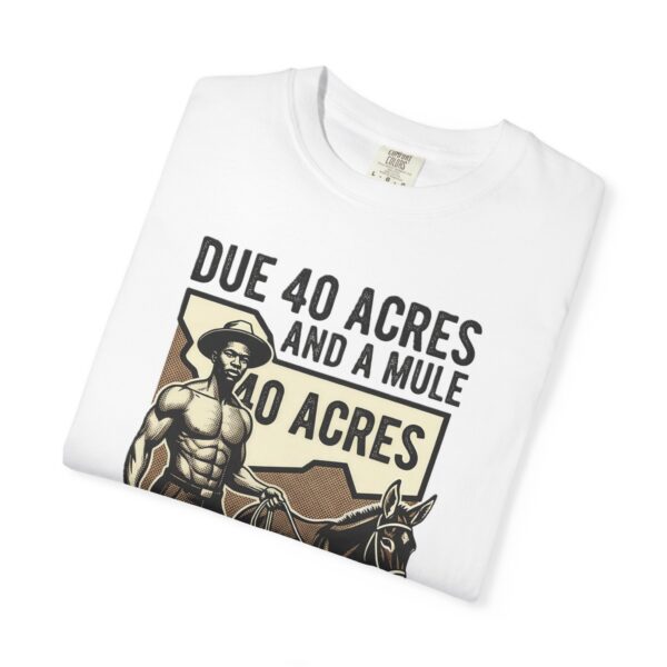 6030573782738651177_2048.jpeg Due 40 Acres and a Mule T-Shirt | Juneteenth Emancipation Graphic Tee