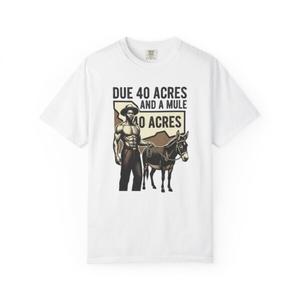 Due 40 Acres and a Mule T-Shirt | Juneteenth Emancipation Graphic Tee